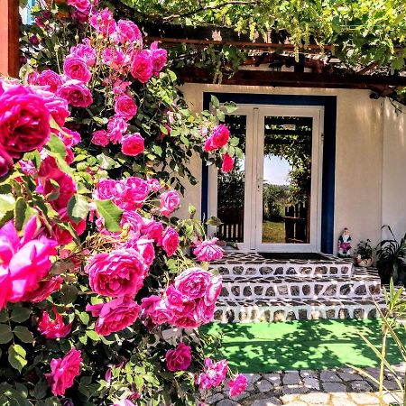 Teo Guest Rooms Băile Felix Екстериор снимка
