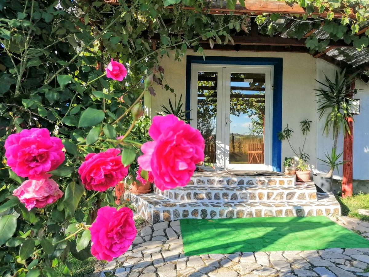 Teo Guest Rooms Băile Felix Екстериор снимка