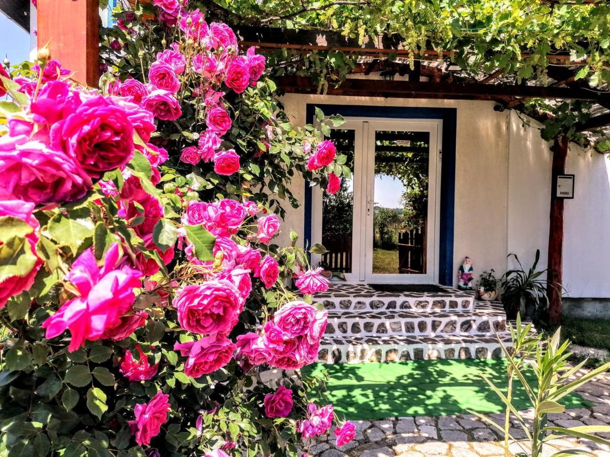 Teo Guest Rooms Băile Felix Екстериор снимка