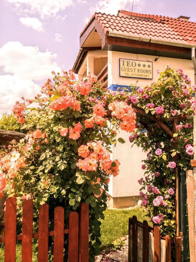 Teo Guest Rooms Băile Felix Екстериор снимка