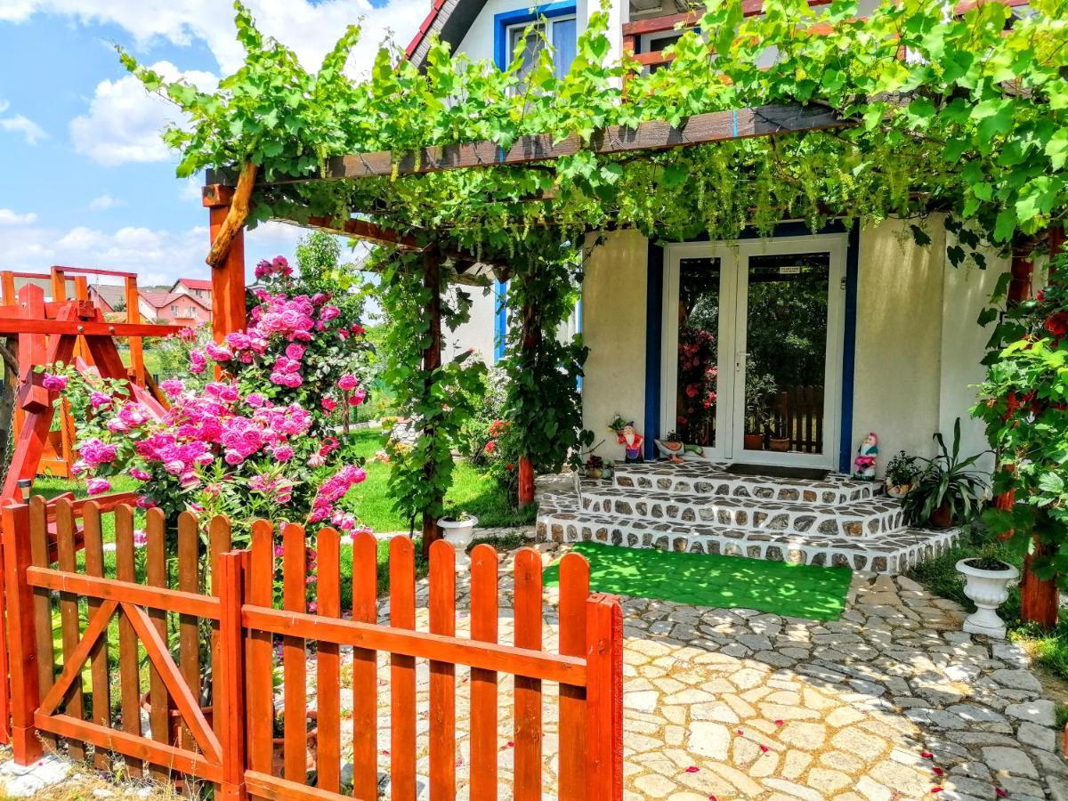 Teo Guest Rooms Băile Felix Екстериор снимка