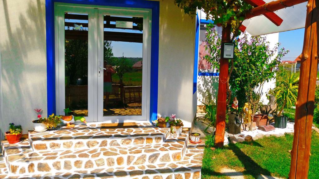 Teo Guest Rooms Băile Felix Екстериор снимка